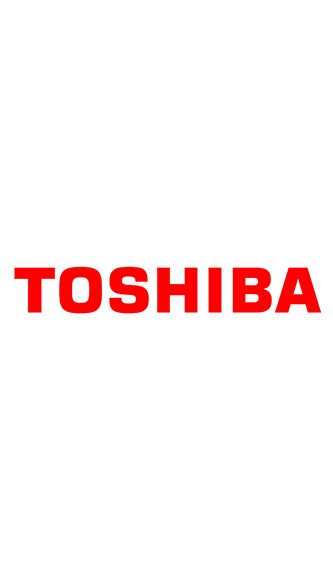 Toshiba BMC 630 Spindle Repair