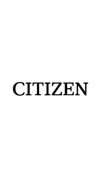 Citizen L20 Spindle Repair