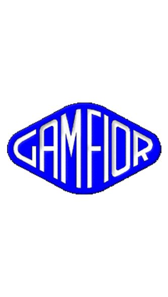 Gamfior DIS E12371 Spindle Repair