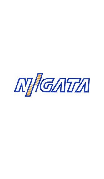 Niigata SPN50 Spindle Repair