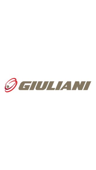 Giuliani EMP-25-3000-14289 Spindle Repair